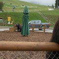 Image025