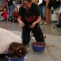 IMG 0738