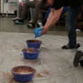 IMG 0752
