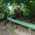 IMG 4382