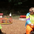 IMG 4385