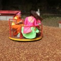 IMG 4391