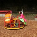 IMG 4392