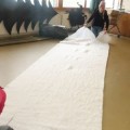 IMG 4833
