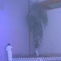 IMG 4859