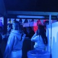 IMG 4869