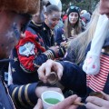 IMG 4966