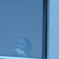 IMG 4996