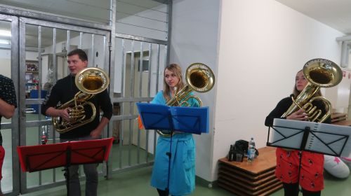 IMG 7287