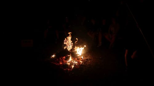 IMG 9166