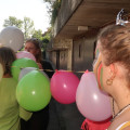 IMG 0391