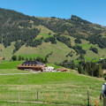 IMG 0506g