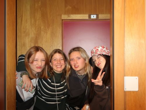 IMG 0929