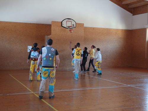 IMG 4520